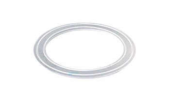 AquaStar 2" Gasket | 20GASKET
