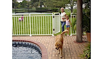 Saftron Self Closing Gate with 54" Plunger Latch For 2400 Series Fencing | 48"H x 36"W | Black | FG-2401-4836-BK