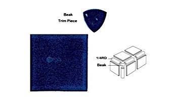 National Pool Tile Discovery Field 3x3 Beak | Blue | DSF20N Beak