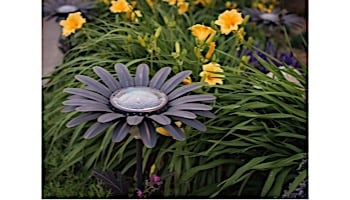 Desert Steel Daisy Solar Garden Light | Bronze | 409-300