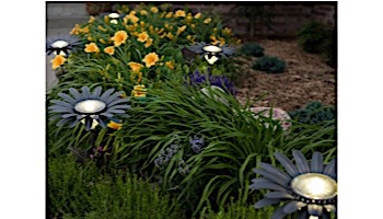 Desert Steel Daisy Solar Garden Light | Bronze | 409-300