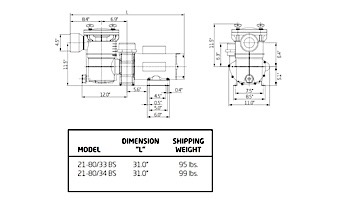 Specks Pumps 21-80/33BS Series 4HP Self-Priming Premium Energy High Efficient Plastic Pool Pump | 208-230V | SA104-1400F-0BS