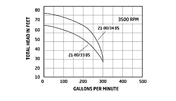 Specks Pumps 21-80/33BS Series 4HP Self-Priming Premium Energy High Efficient Plastic Pool Pump | 208-230V | SA104-1400F-0BS
