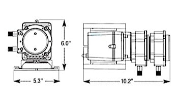 Stenner Classic Series 100DMP5 Pump | Double Head Fixed Output | 100GPD 120V 60Hz .25" 25 PSI | 100FL5A1S