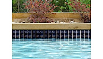 National Pool Tile Coral 2x2 Series | Blue | CRL-BLUE2X2