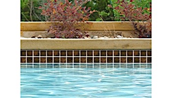 National Pool Tile Coral 2x2 Series | Brown | CRL-BROWN2X2