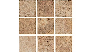 National Pool Tile Tundra 2x2 Series | Oro | TUN-ORO2X2