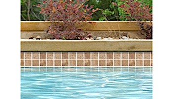 National Pool Tile Tundra 2x2 Series | Oro | TUN-ORO2X2