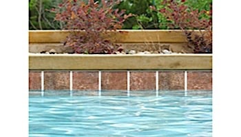 National Pool Tile Tundra 6x6 Series | Cotto | TUN-COTTO