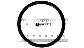 Aqua Ultraviolet O-Ring for EZ Twist Top | A40014
