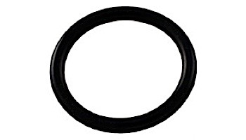 Aqua Ultraviolet O-Ring for EZ Twist Top | A40014