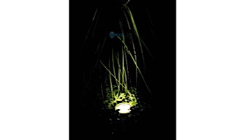in-lite SCOPE Outdoor LED Spotlight | 12V 4.5W | Black | 10400502