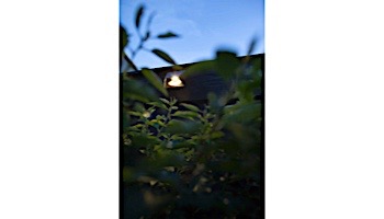 in-lite WEDGE DARK LED Wall Light | 12V 1.5W | Charcoal  | 10301750