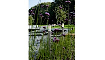in-lite LIV HIGH LED Bollard Light | Height 24" | 12V 2W | Rose Silver | 10201700 | 10201701