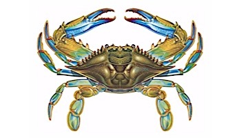 Porcelain Mosaic Blue Crab Pool Mosaic | 11" x 8" | PORC-BC57
