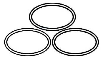 Paramount Quartz Tube Seal O-Ring, 3 Pack | 005-422-5103-00