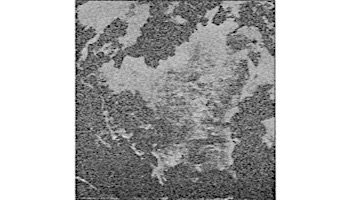 National Pool Tile Magnetite 6x6 Series | Black Semi-Polished | MAG-BLACK