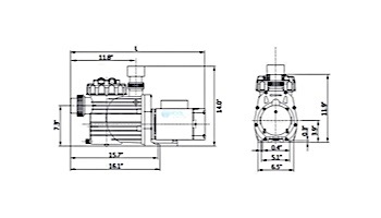 Speck Pumps S90-III Standard Efficiency Single Speed Pool Pump | 1.5HP 115/230V | IG121-1150M-000