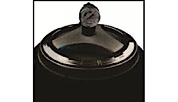 Fluidra USA 36" Aster Side Mount Hight Rate Sand Filter | 7.69 Sq. Ft. | 66710-S3