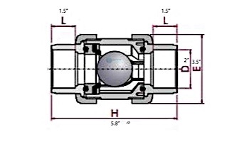 Fluidra USA 2" Ball Check Valve 240 PSI Combo Connections | 27001