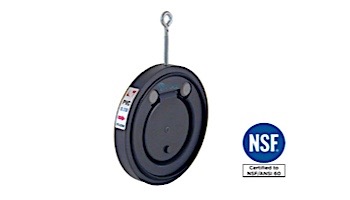 Fluidra 8" Flap Check Valve | 08989
