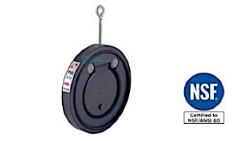 Fluidra 8" Flap Check Valve | 08989