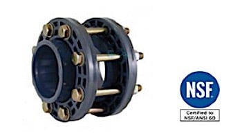 Fluidra USA 6" Flap Check Valve Kit | 02376U-F