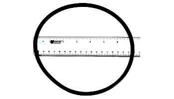 Pentair O-Ring Filter To Niche | R170070