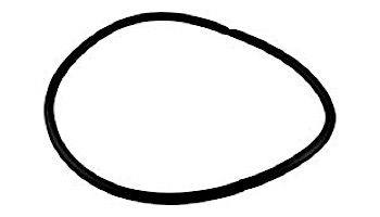 Pentair O-Ring Filter To Niche | R170070