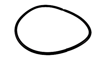 Pentair O-Ring Filter To Niche | R170070