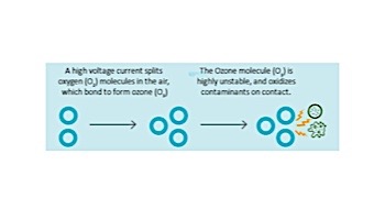 DEL OZONE Spa Eclipse Corona Discharge Ozone Generator | 1,000 Gallons | 100V/250V | Flag Connector Cord | ECS-1RPFC-U