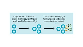 DEL OZONE MCD-250 High-Output Ozone System for Spas | 3,000 Gallons | 120V/240V | Flag Connector Cord | MCD-250U-06