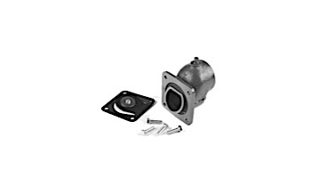 Pentair 2" Suction Flange with Flapper Check | PKG 53