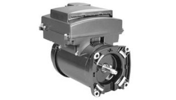 Replacement Affinity Variable Speed 56Y TEFC Square Flange Motor 3HP | 230V 60Hz | AVSS3