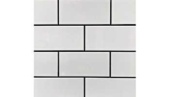 Cepac Tile Continental Subway 3x6 Series  Glossy White