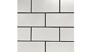 Cepac Tile Continental Subway 3x6 Series  Matte White