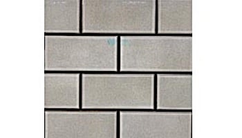 Cepac Tile Continental Subway 3x6 Series  Taupe