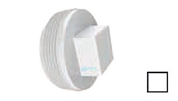 AquaStar 2" Tapered Pipe Thread Plug | Tan | 8SBP108