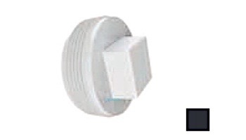 AquaStar 2" Tapered Pipe Thread Plug | Black | 8SBP102