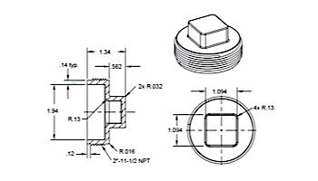 AquaStar 2" Tapered Pipe Thread Plug | Black | 8SBP102