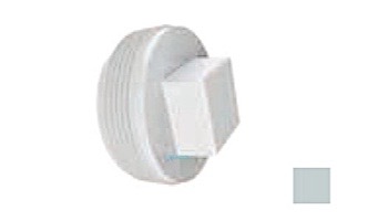 AquaStar 2" Tapered Pipe Thread Plug | Light Gray | 8SBP103