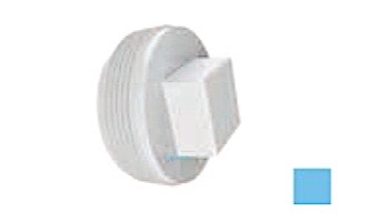AquaStar 2" Tapered Pipe Thread Plug | Blue | 8SBP104