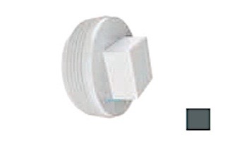 AquaStar 2" Tapered Pipe Thread Plug | Dark Gray | 8SBP105