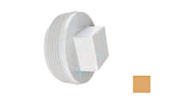 AquaStar 2" Tapered Pipe Thread Plug | Tan | 8SBP108