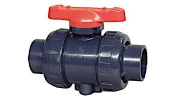 Ryan Herco Type 21 PVDF True Union Ball Valve | with FKM O-Rings | 2" Threaded | 5015A120