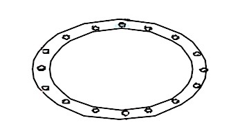 Fluidra Filter Lid Gasket | 788 R 4140120