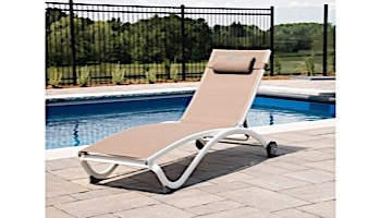 Vivere Glendale 4-Position Pool Lounger | Macchiato | GLEL-MA