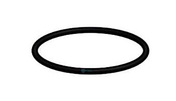 AquaStar Chlorinator - O-Ring #343 Viton | CH1009 | O-RING 343 | O-RING 343V