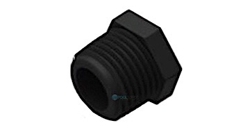 AquaStar Chlorinator - 1/2" MPT PVC Plug | CH1015