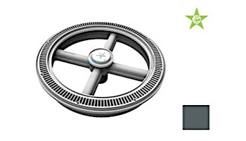 AquaStar Full Circle Drain Cover, Center Cap and Screws | Dark Gray | FC20105